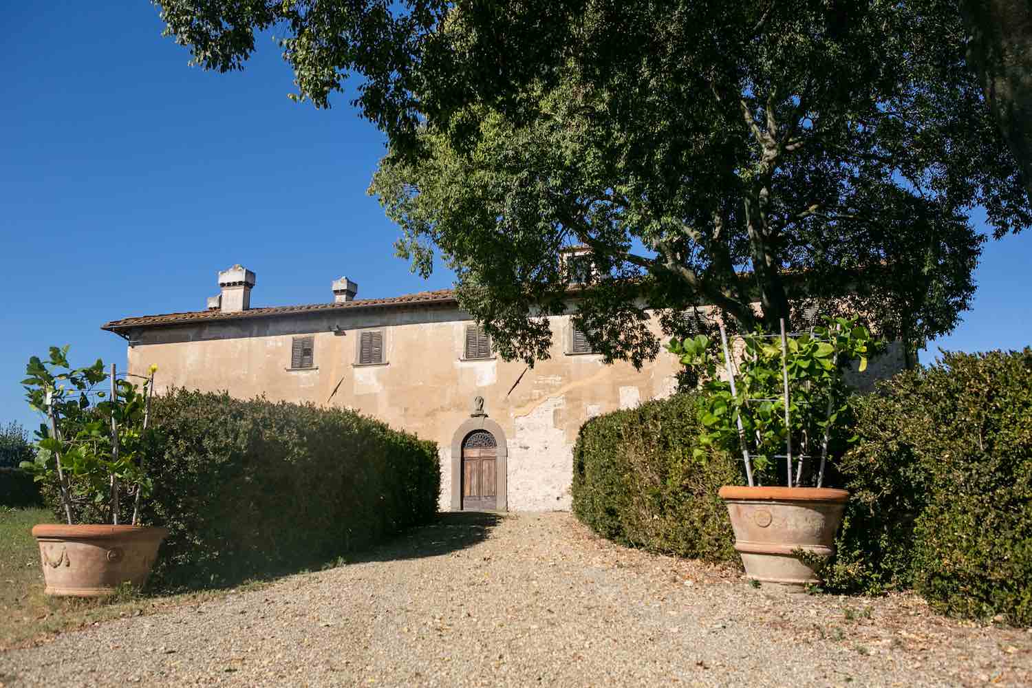 Villa Montepaldi a San Casciano in Val di Pesa, è una una villa medicea di proprietà dell' Università di Firenze e produce vino e olio di alta qualità.