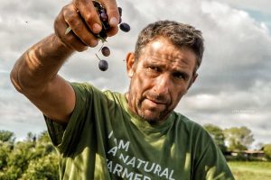 L'agronomo Luigi Antonelli de La Fattoria la Maliosa in Maremma è specializzato in olivocultura toscana