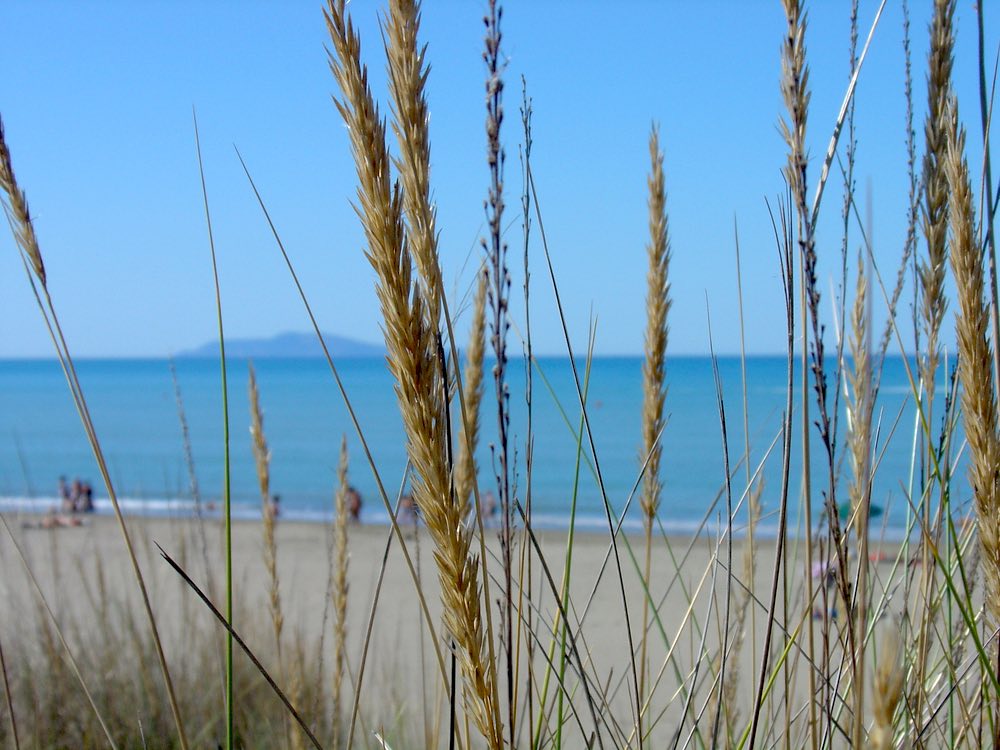 La spiaggia di Principina a Mare in provincia di Grosseto