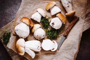 Funghi porcini su vassoio con coltello: la preparazione per ricette toscane coni i funghi