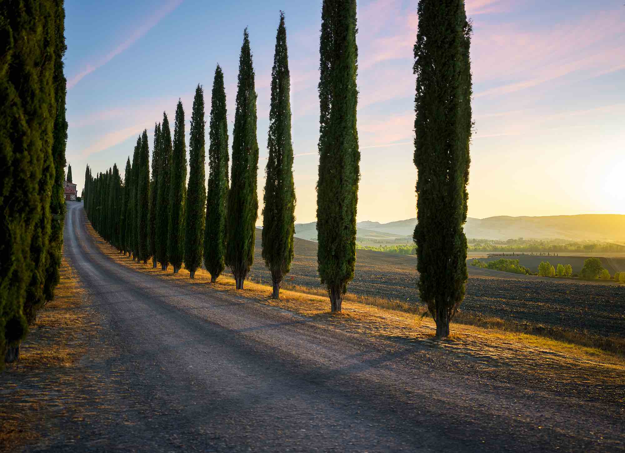 Bellissima strada in Toscana tra i cipressi in Alta Maremma