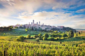 Il borgo di San Gimignano circondato dalle vigne