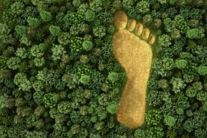 Rappresentazione grafica dell'indicatore Ecological Footprint o Impronta Ecologica