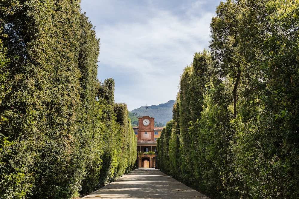 Viale alberato che porta alla Palazzina dell'Orologio, alla Villa Reale di Marlia nei dintorni di Lucca