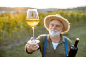 Anziano viticoltore in vigna con bicchiere e bottiglia di vino bianco