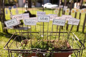 EvergreenForte 2021, mostra-mercato dedicata al giardino e a rarità botaniche