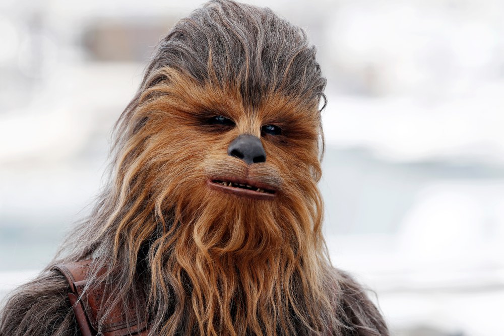 Guerre Stellari: Chewbecca a Cannes in attesa di Han Solo