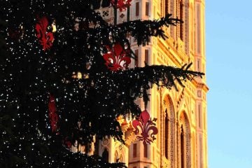 Natale a Firenze: albero di Natale in Piazza Duomo con vista sul Campanile di Giotto