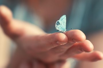 Farfalla celeste posata sulle dita di una mano
