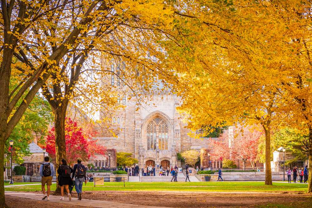 Campus dell'università di Yale a novembre