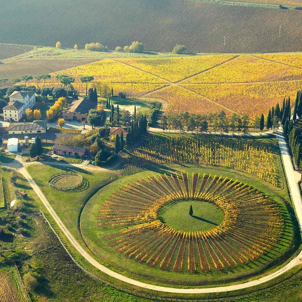 Vista aerea della Tenuta Avignonesi, azienda biodinamica in Toscana