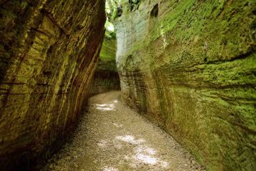 Le Vie Cave etrusche nel Parco Archeologico