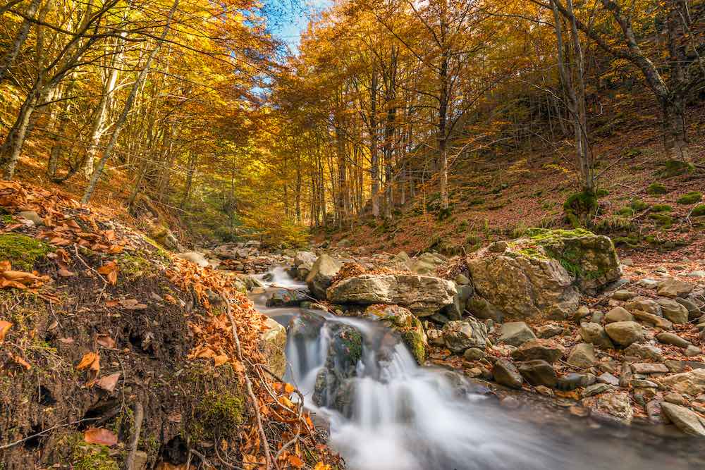 Un torrente scorre nel Parco dell'Orecchiella in Garfagnana, Toscana