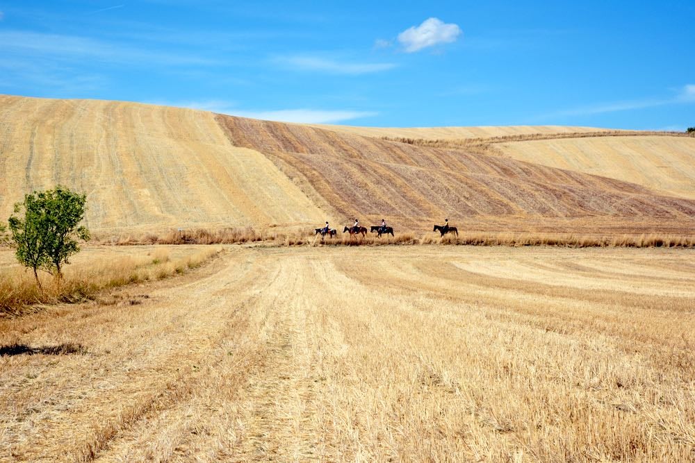 Panorama estivo con i campi di grano tagliato in Toscana vicino a Saturnia