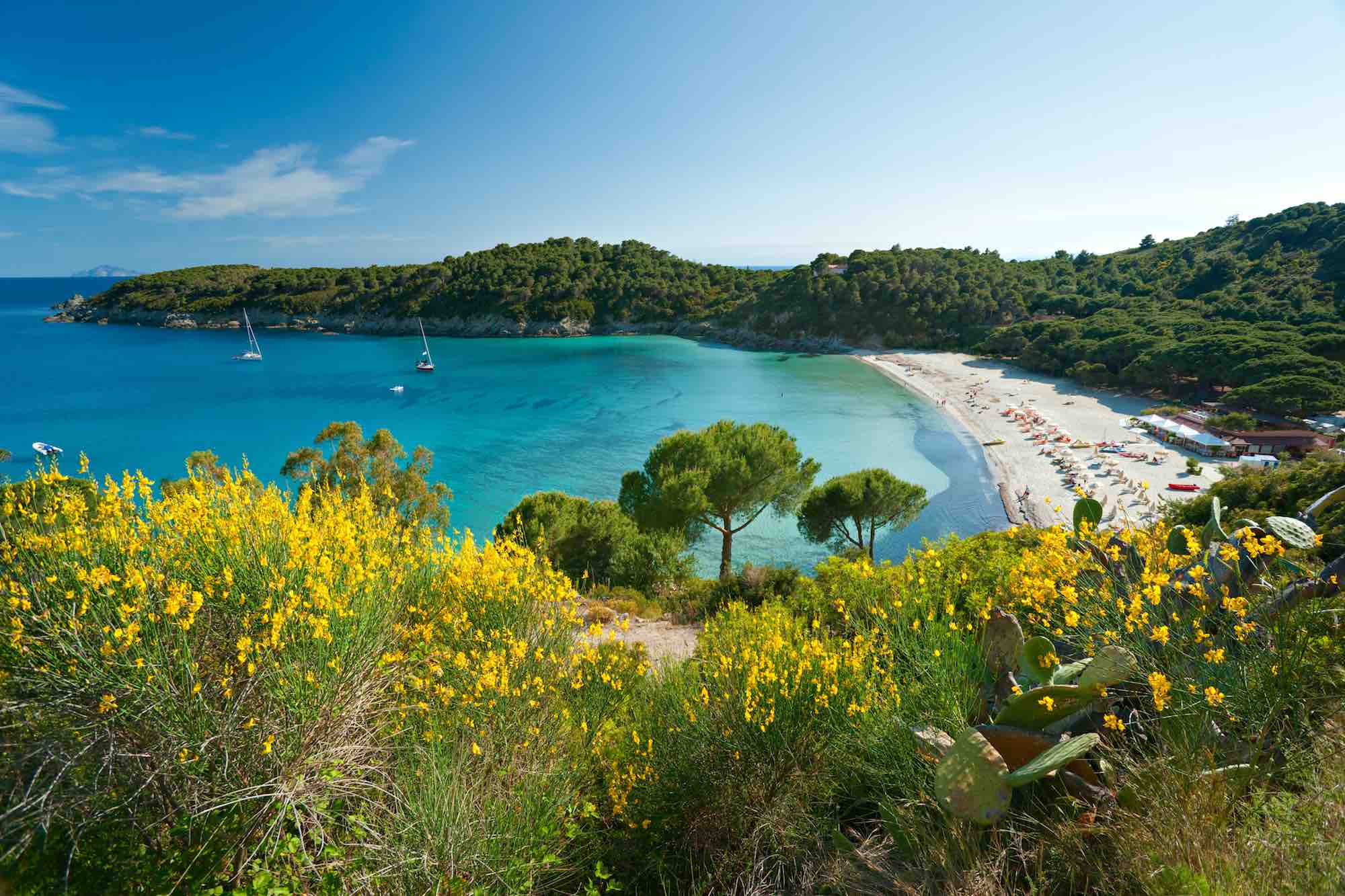 Vista sulla spiaggia della Fetovaia all'Isola d'Elba