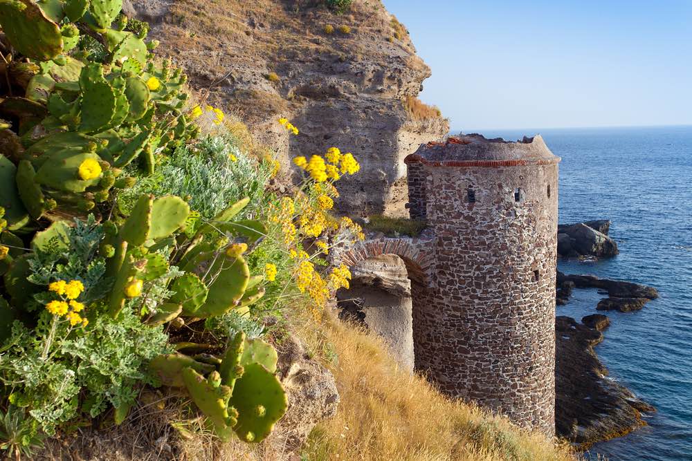 Fiori e castello sulle rocce sull'isola di Capraia, Arcipelago toscano