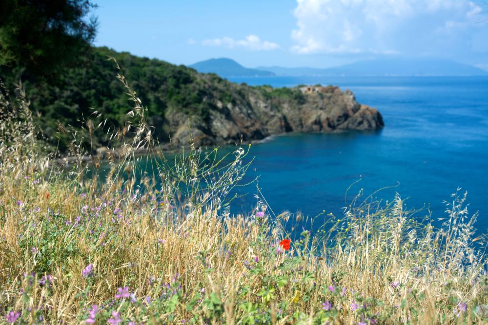 Vista sull'Isola d'Elba da sopra Calamoresca, Piombino, Toscana