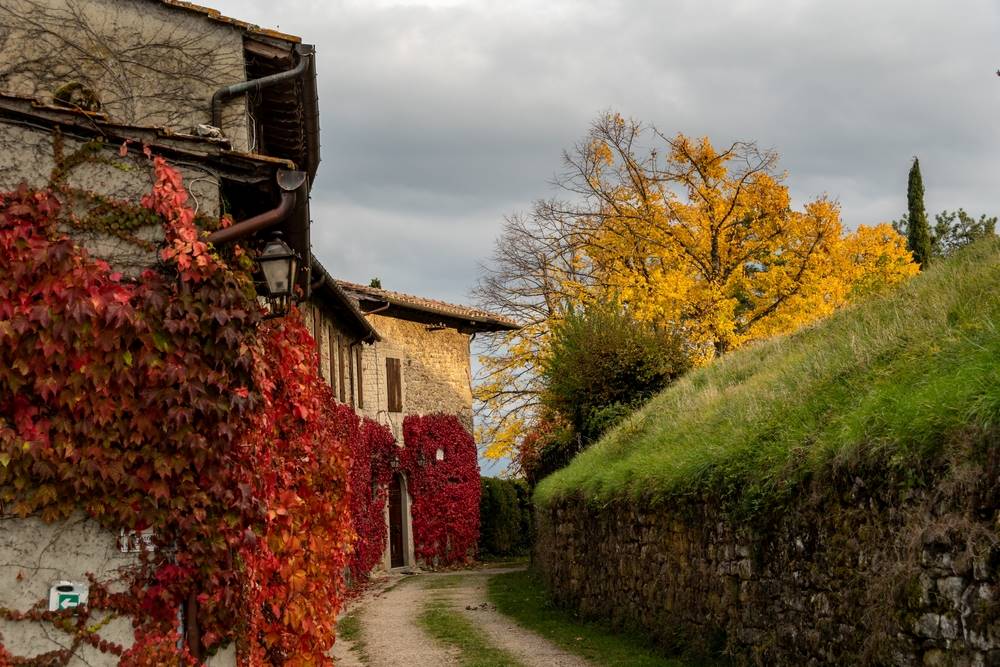Strada di campagna con case tipiche toscane coperte di foglie in Casentino, Pratovecchio