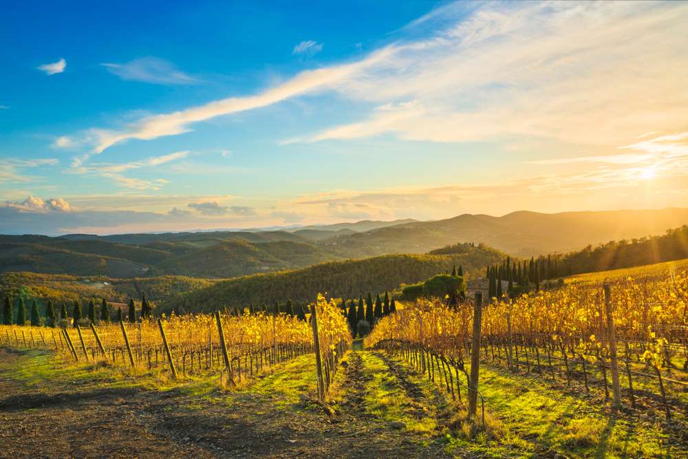 Panorama su vigne in Toscana in autunno