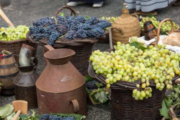 Festa dell'uva in Toscana