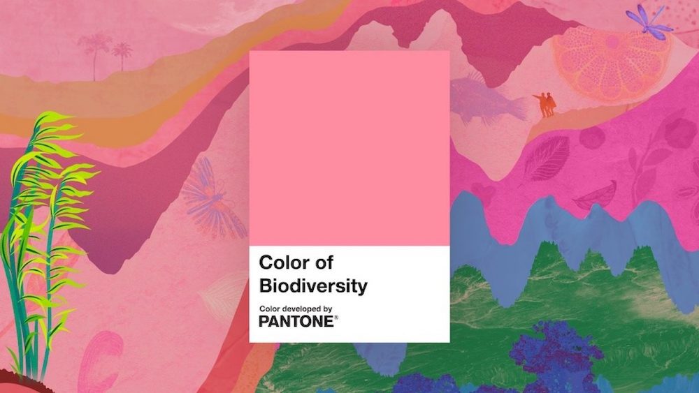 Color of Biodiveristy è il nuovo colore della biodiversità secondo il Pantone Color Instiute