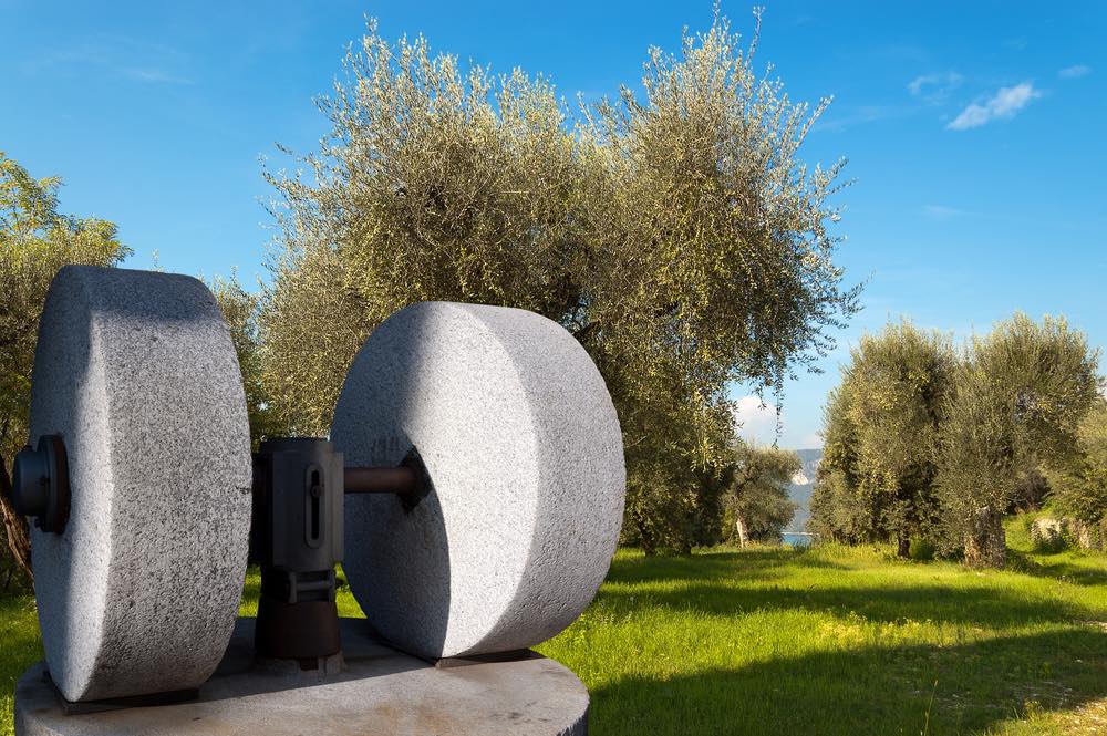 Un vecchio frantoio con due macine e un oliveto sullo sfondo. Veneto, Lago di Garda, Italia
