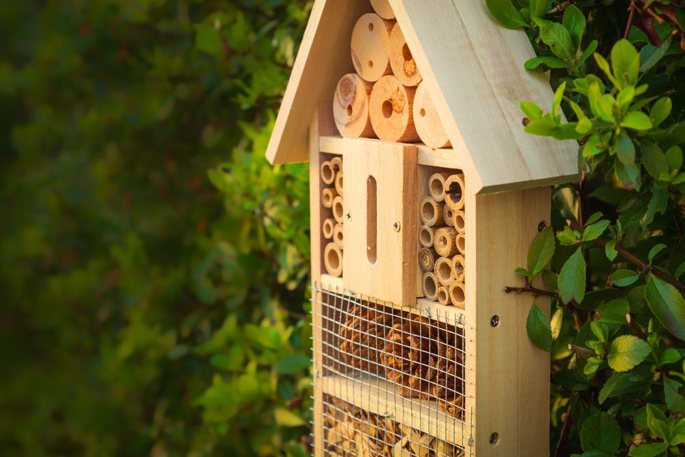 L'hotel per insetti in una siepe verde offre protezione e aiuto alla nidificazione di api e altri insetti
