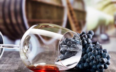 Grappolo d'uva e bicchiere di vino rosso appoggiati su un tavolo di legno nero sullo sfondo di una cantina con botti