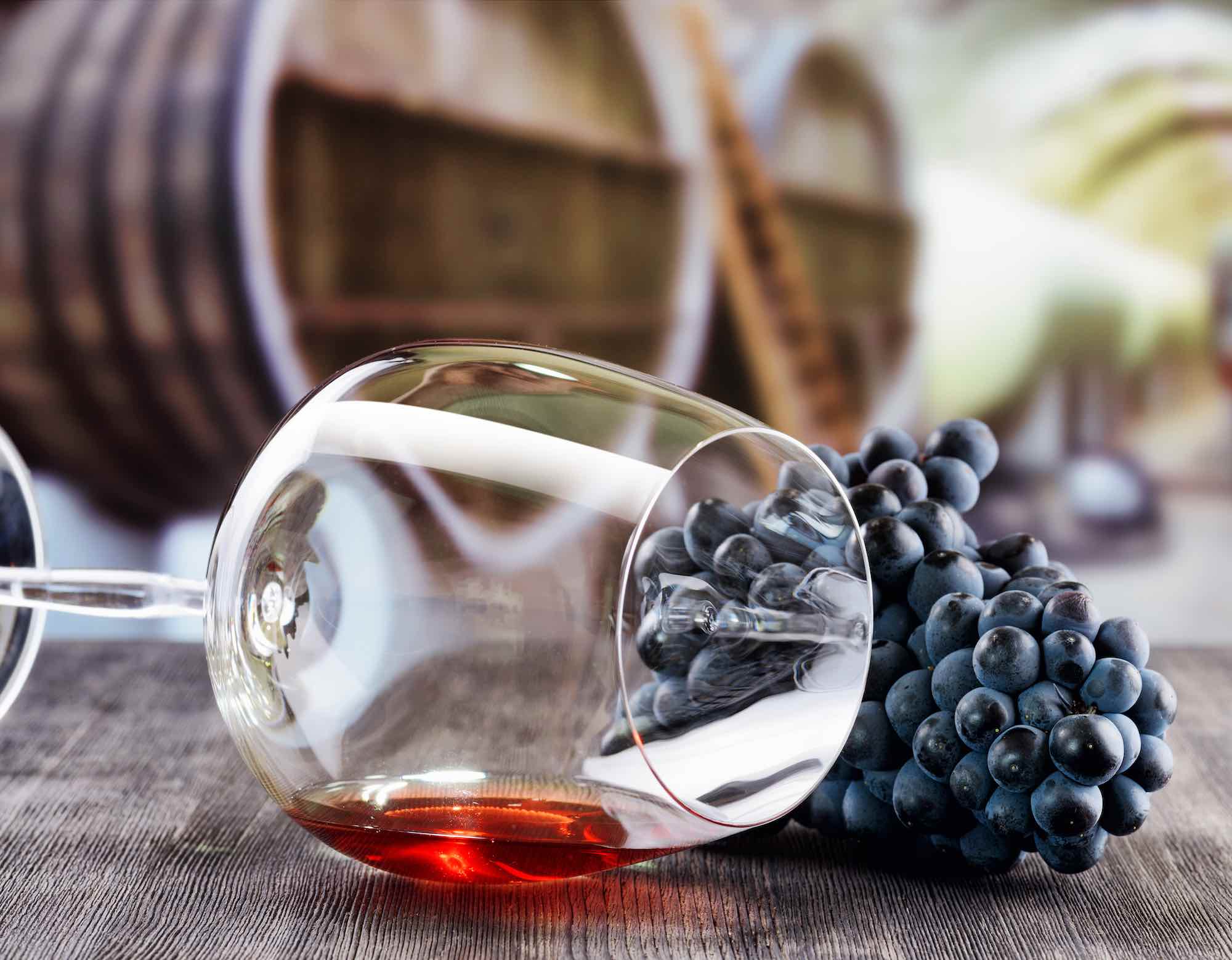 Vino novello: dalla vendemmia al bicchiere
