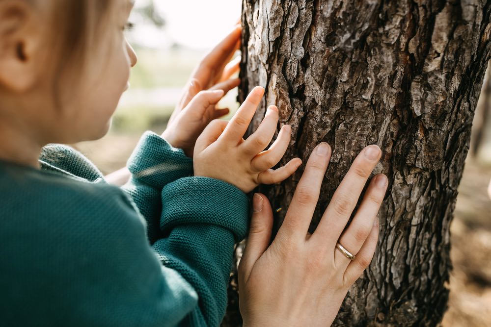 Primo piano delle mani di una bambina e di una donna che toccano un albero. Concetto di cura e salvaguardia delle foreste.