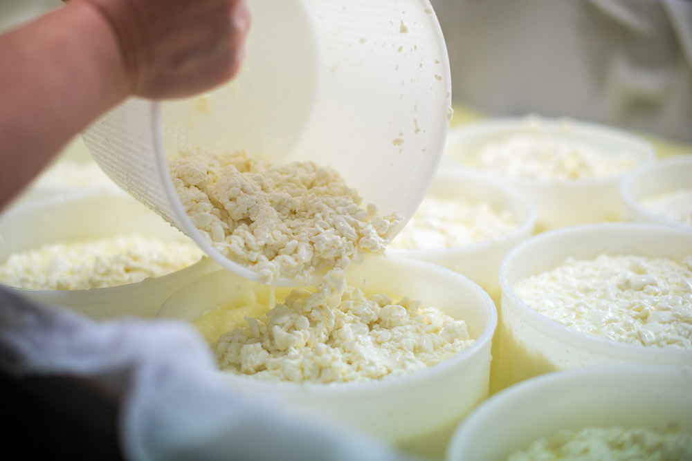 Preparazione formaggi di Forme d'Arte di Paolo Piacenti