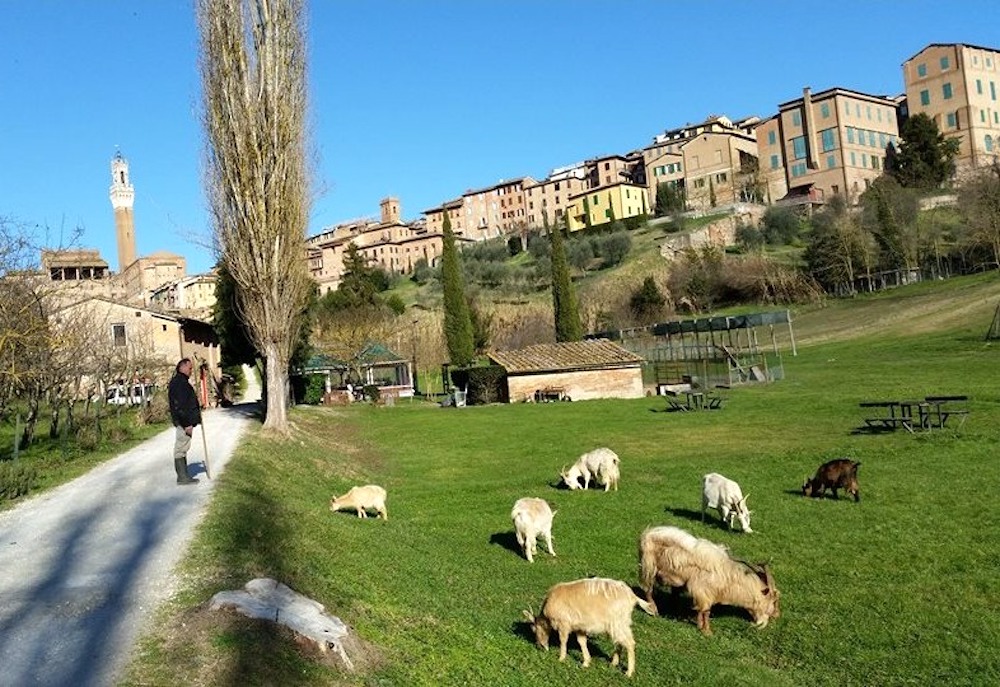 L'Orto de' Pecci si trova a Siena, ideale da visitare con i bambini