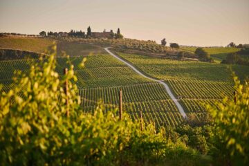 Panorama su vigne nel Chianti con tenuta sulla collina