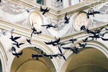 Installazione di arte contemporanea in un palazzo storico a Firenze