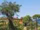Una villa in Lucchesia con alberi in giornata di sole