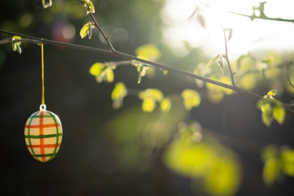 Uovo decorato di Pasqua appesa ad un albero